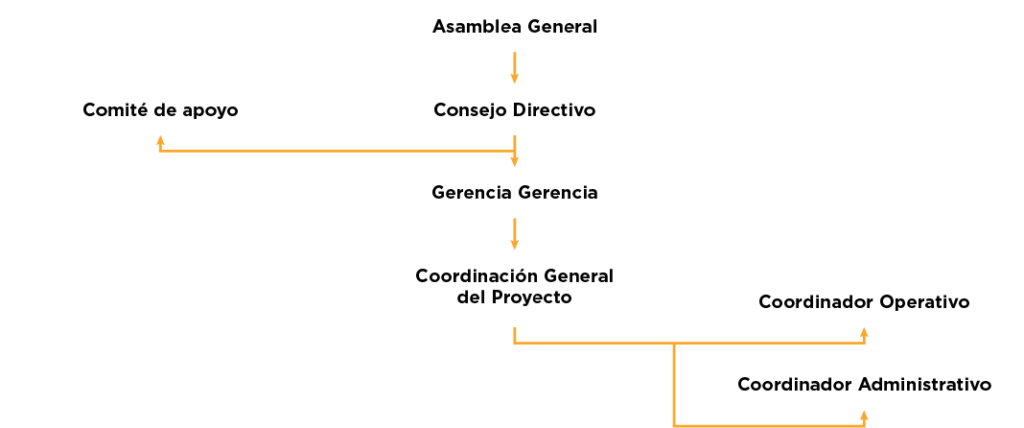 NUESTRA ORGANIZACIÓN