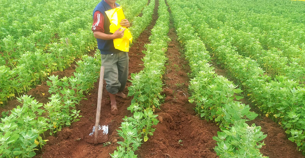 Producción integrada con calidad y sostenibilidad